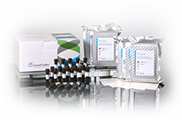 GeneFinder™ HLA-ABCDRB1DQ RealAmp Kit