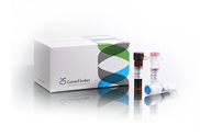 GeneFinder™ HLA-B*27 RealAmp Kit